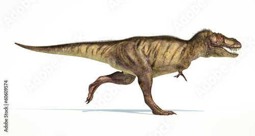 Tyrannosaurus Rex dinosaur  photorealistic representation. Side