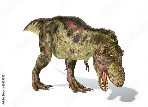Tyrannosaurus Rex dinosaur  photorealistic representation. Dynam
