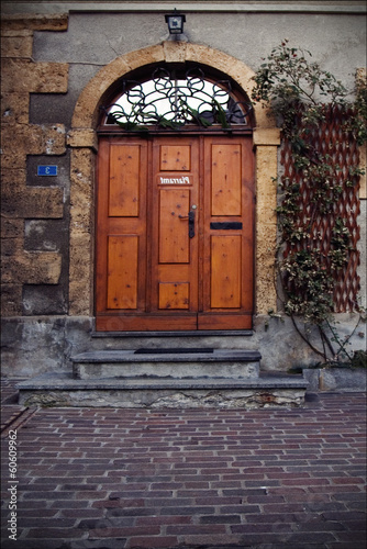 door and grate  in  bellinzona © lkpro