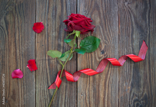Red rose