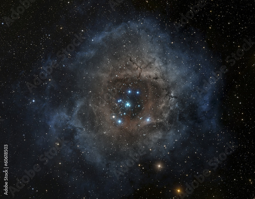 Fototapeta Naklejka Na Ścianę i Meble -  Rosette nebula in the constellation of Unicorn