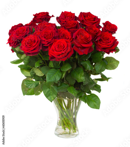 bouquet of blossoming dark  red roses in vase