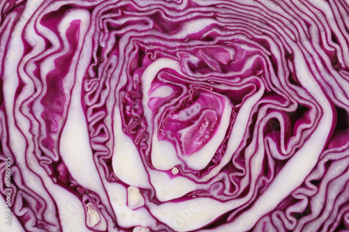 texture of red cabbage close up. macro