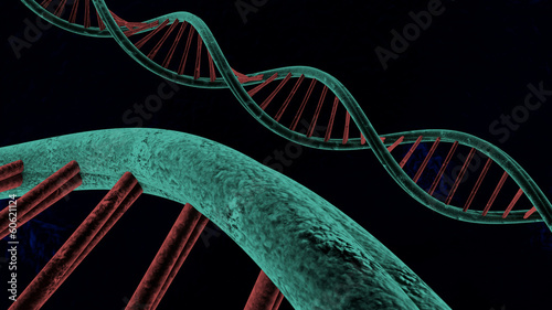 chain of deoxyribonucleic acid
