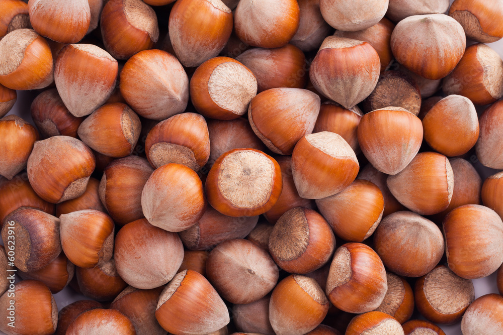 group of hazelnuts in husks close up group of hazelnuts in husks close up