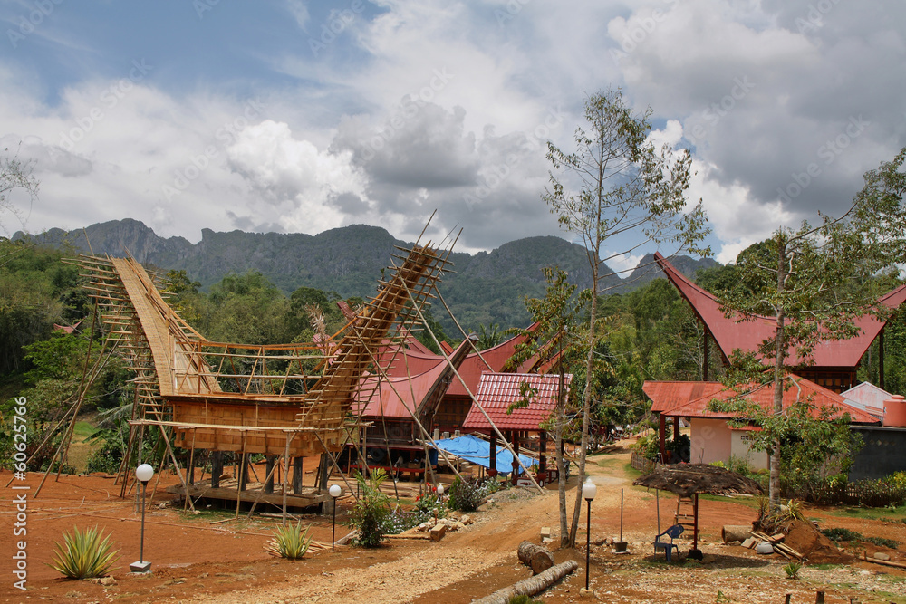 Traditional houses in Toraja Province