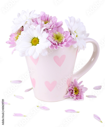 Wallpaper Mural Beautiful chrysanthemum flowers in cup isolated on white Torontodigital.ca