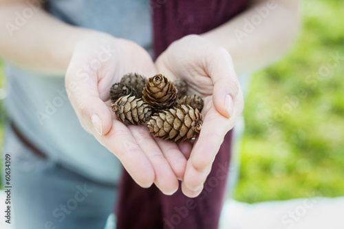 Kleine Tannenzapfen in Hand