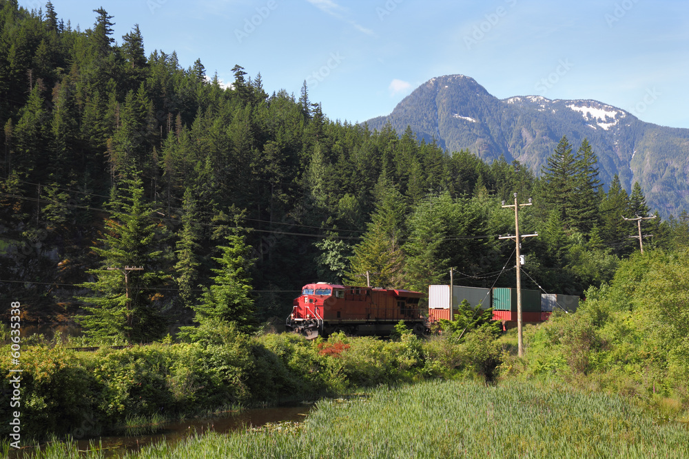 Mountain Freight Train