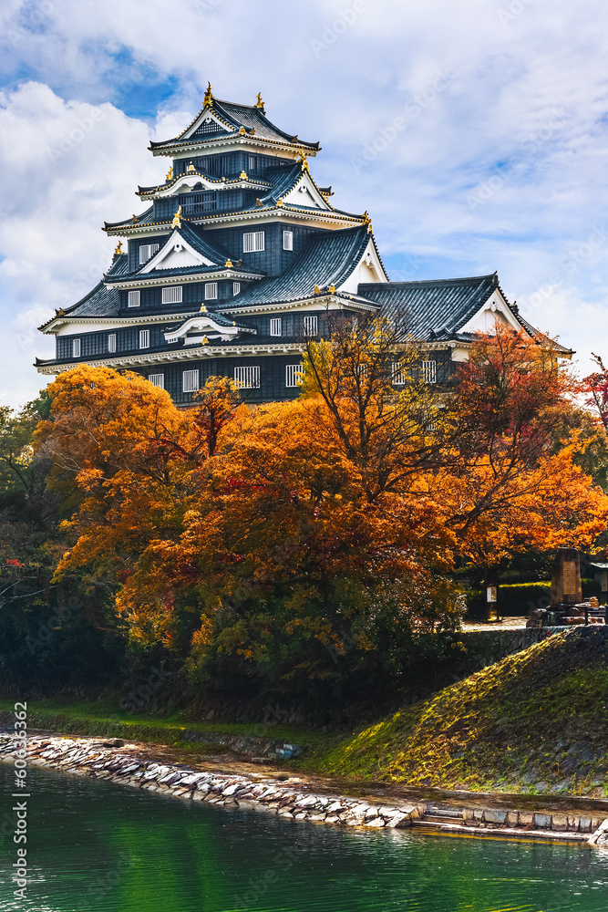 Fototapeta premium Zamek Okayama w Japonii