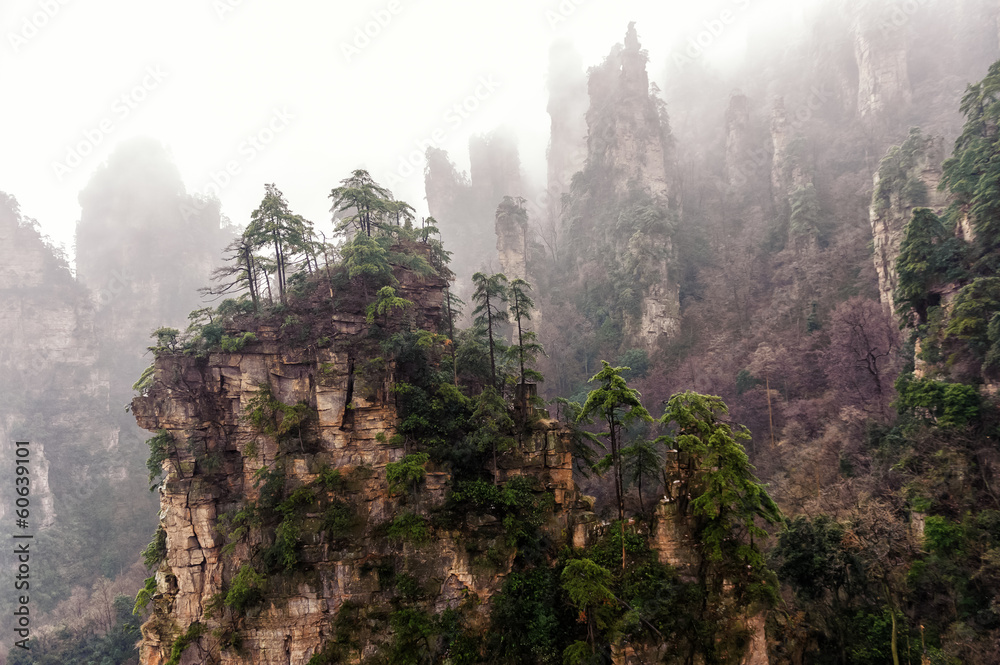 Fototapeta premium foggy Zhangjiajie