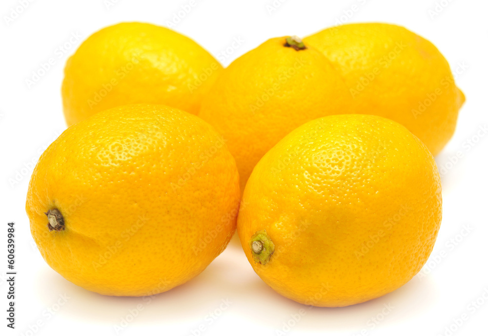 Lemon Lemon