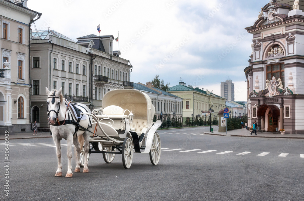 Fototapeta premium white horse-drawn in carriage
