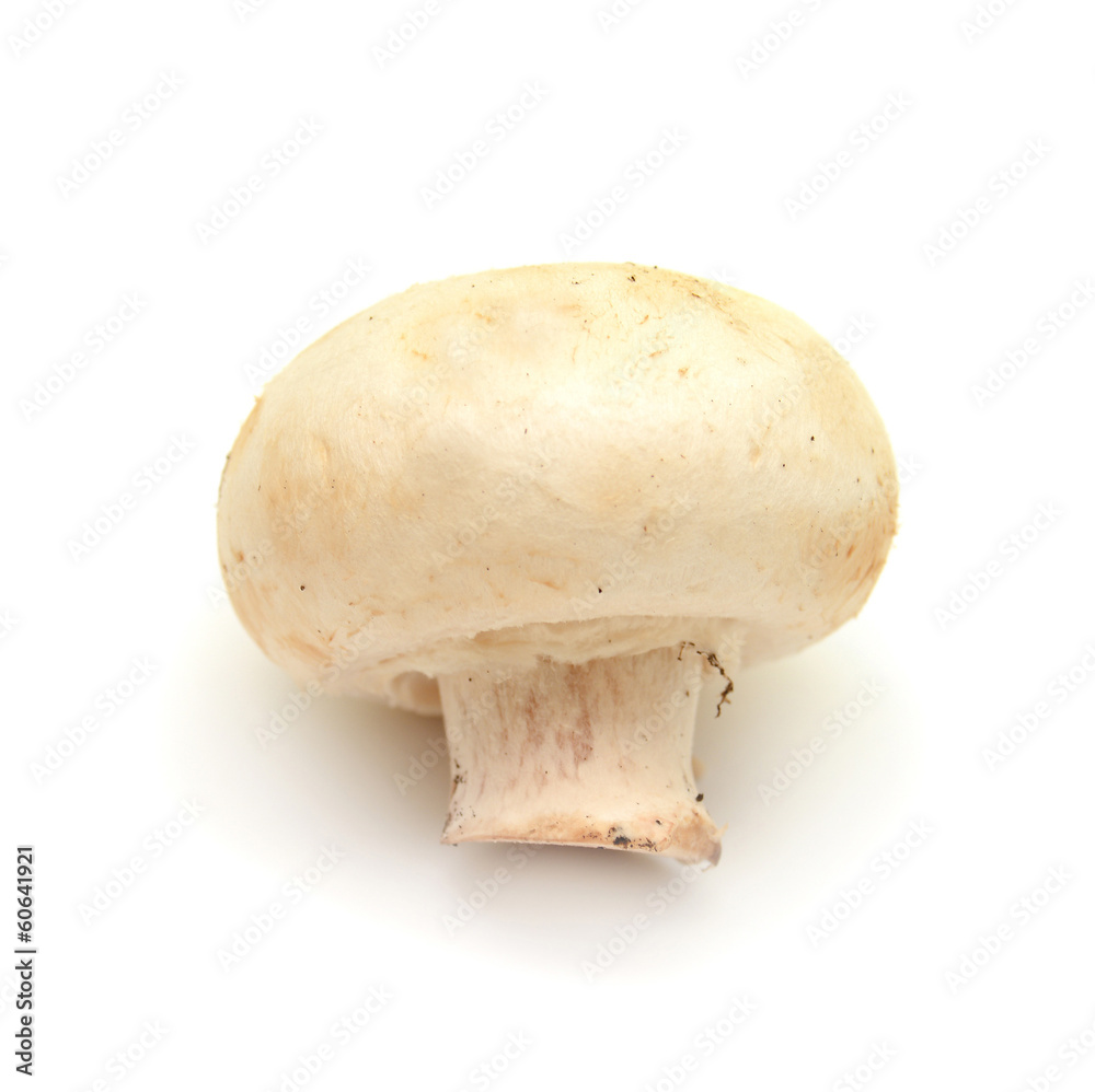 Champignon mushroom Champignon mushroom