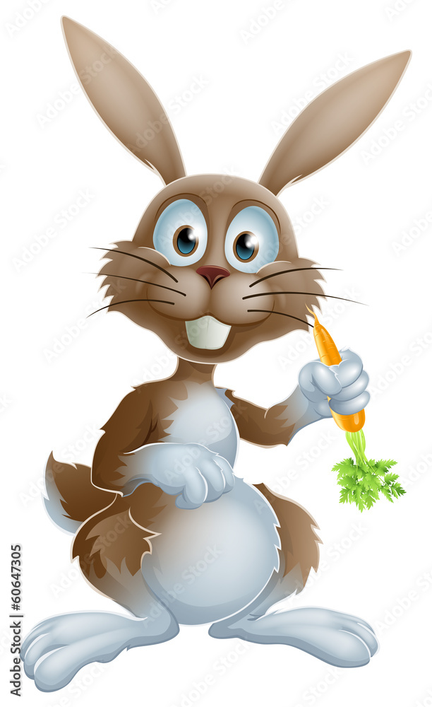 Obraz premium Rabbit with carrot