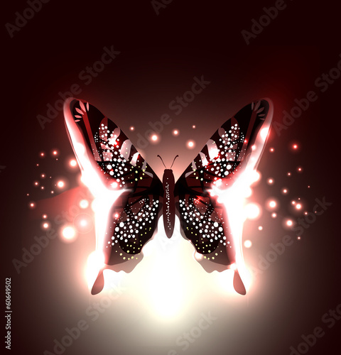 Beautiful Abstract Butterfly