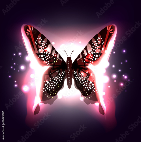Beautiful Abstract Butterfly