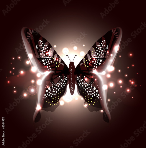 Beautiful Abstract Butterfly