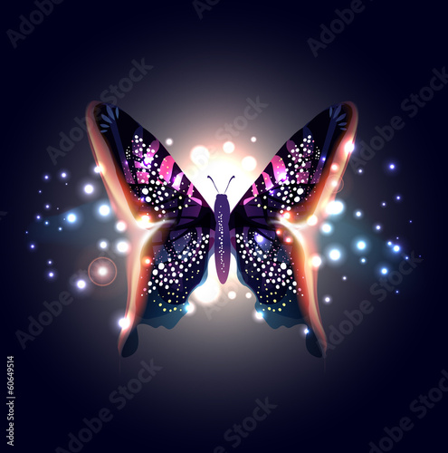 Beautiful Abstract Butterfly