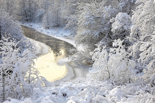 winter landscape