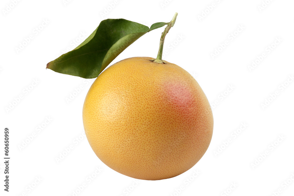 Grapefruit Grapefruit