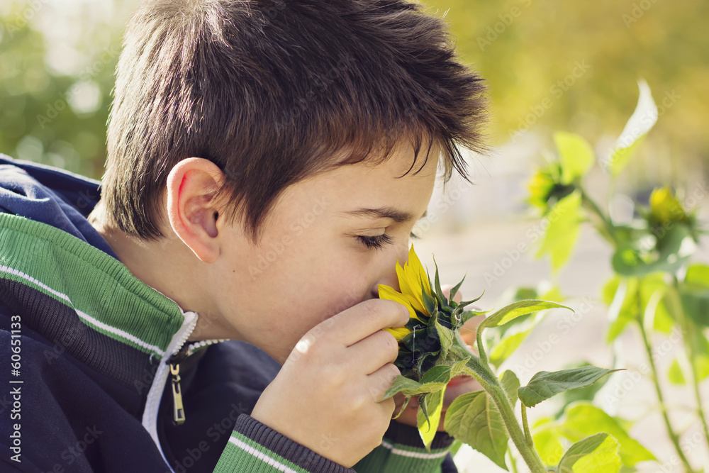 Obraz premium Niño oliendo girasol