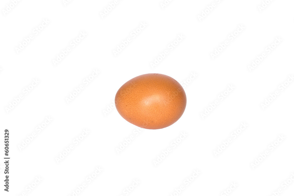 egg on white isolated background egg on white isolated background