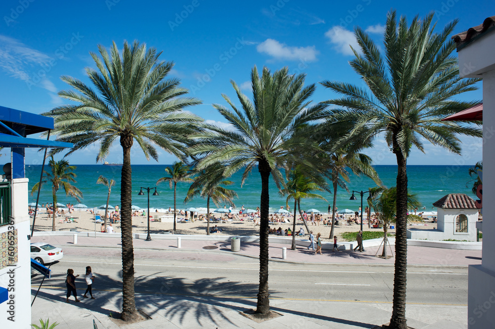 Fototapeta premium Florida - USA