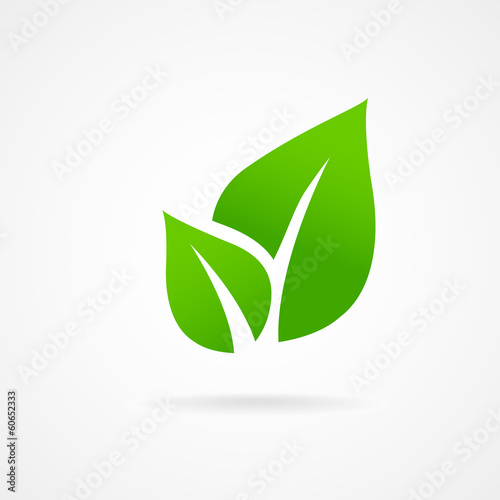 Obraz na plátne Eco icon green leaf vector illustration isolated