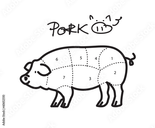 American  US  cuts of pork Vector