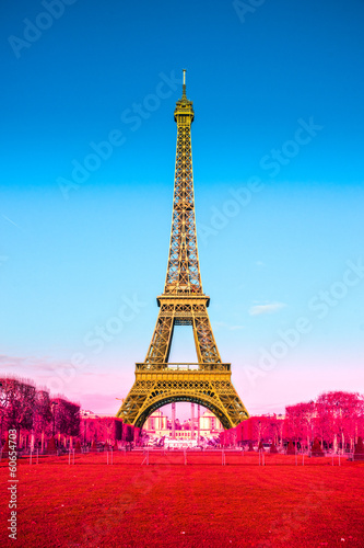 Fototapeta Naklejka Na Ścianę i Meble -  Eiffel tower with graduated french flag