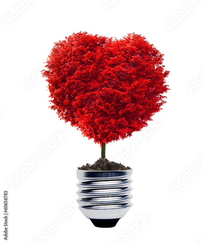 Lampe mit Rotem Baum