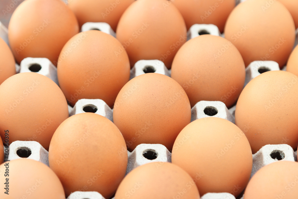 eggs eggs