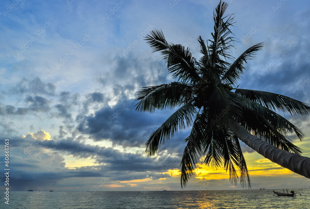 Coconut palms on sand beach in tropic on sunset. Thailand, Koh C