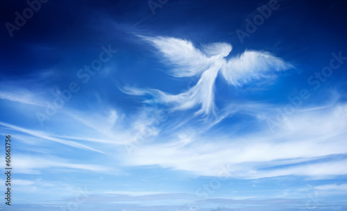 Canvas Print angel in the sky