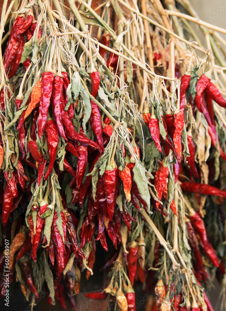 Naklejka premium Red chili pepper bunches on market