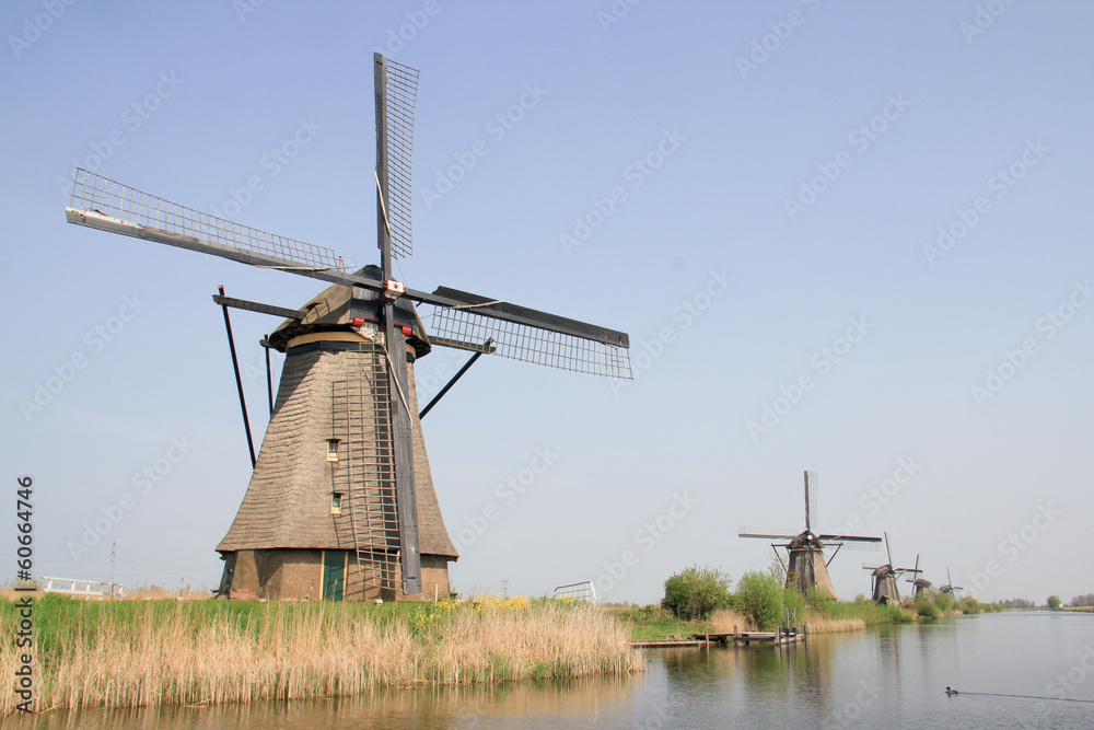 Windmills on the canal bank. Windmills on the canal bank.