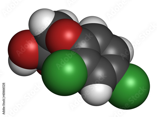 2,4-D (2,4-dichlorophenoxyacetic acid) Agent Orange ingredient. photo