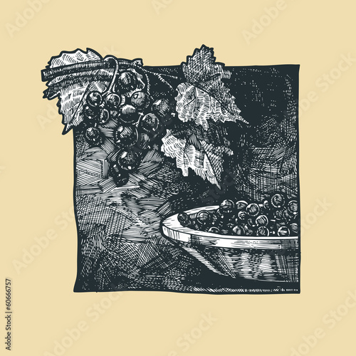 black-currant