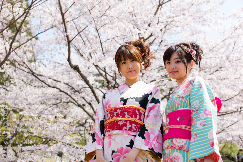 japanese kimono woman and cherry blossoms