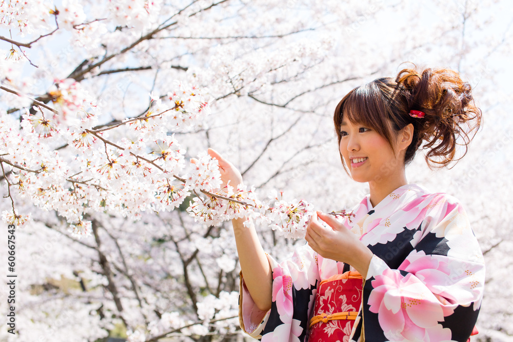 Fototapeta premium japanese kimono woman and cherry blossoms