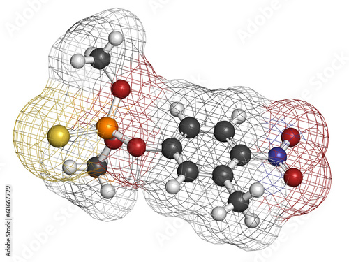 Fenitrothion phosphorothioate insecticide molecule. photo