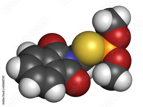 Phosmet organophosphate insecticide molecule. photo