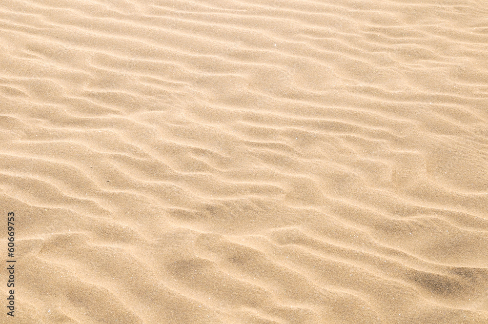 Sand Dune Desert Texture - obrazy, fototapety, plakaty 