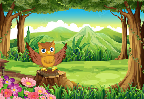 An owl at the forest standing above the stump