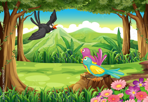 Birds at the forest