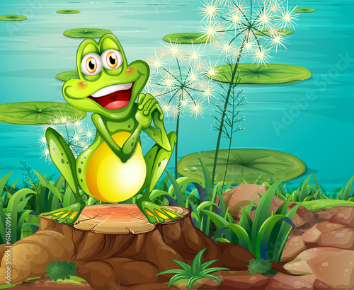 A frog above the stump near the pond