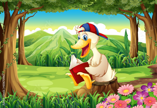 A duck at the forest reading