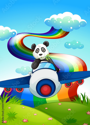 A plane with a panda near the rainbow