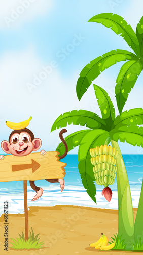 A monkey with a banana above the head playing near the arrowboar